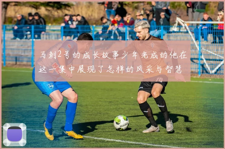 马刺2号的成长故事少年老成的他在这一集中展现了怎样的风采与智慧
