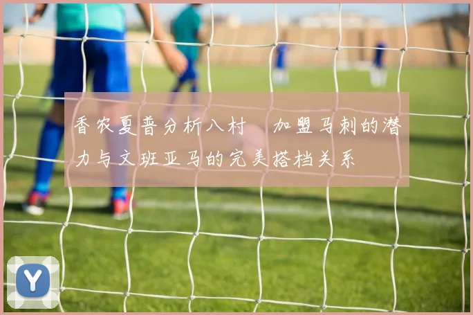 香农夏普分析八村塁加盟马刺的潜力与文班亚马的完美搭档关系