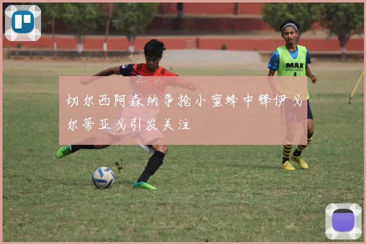切尔西阿森纳争抢小蜜蜂中锋伊戈尔蒂亚戈引发关注
